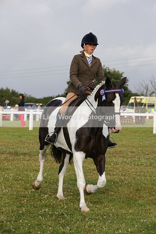 1X9A2890 - Class 25: Ridden Plaited Coloured Horse