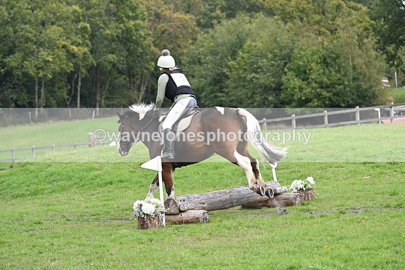 WJ7_4212 - 40cm Time 10:44 to 10:52