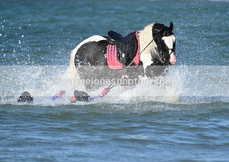 WJ7_3550 - Kellie & Churchill ... do Hayling Island 25-08-24
