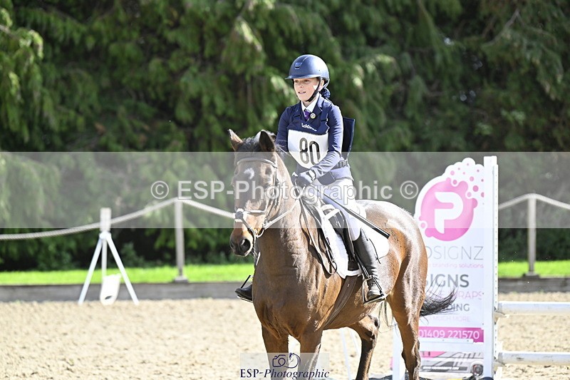 251005A-124032-03875 - Cls 08 Mini 70-75cm