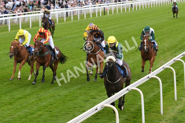 yr11062022r1-139 - Race 1 12.45pm Macmillan Ride of Their Lives, supported by Sky Bet