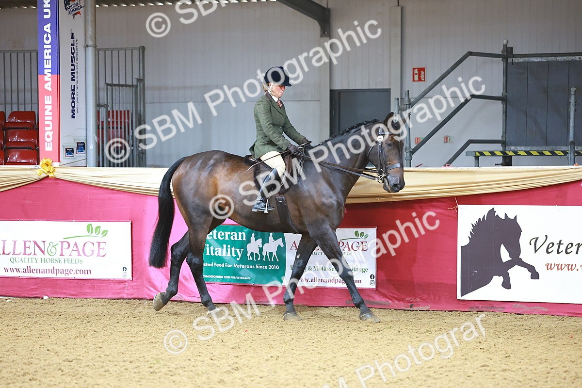SBM_07542 - Class 101 - HOYS Veteran Qualifier - Ridden Diamond