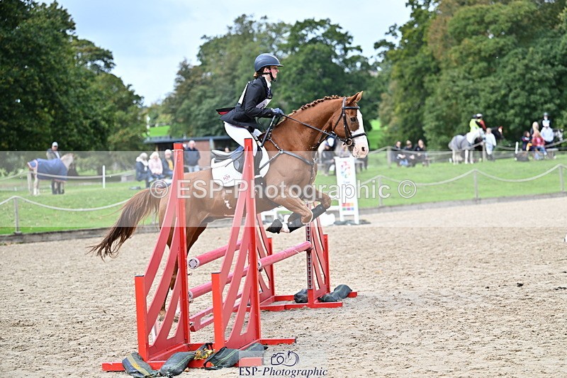 251005A-133942-04123 - Cls 09 Nov 80-85cm