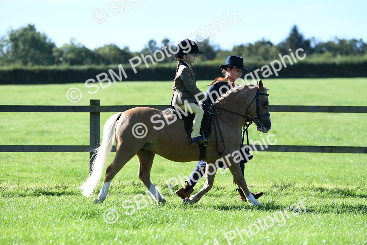 SBM_36820 - S18 - Novice & Newcomers Lead Rein Pony