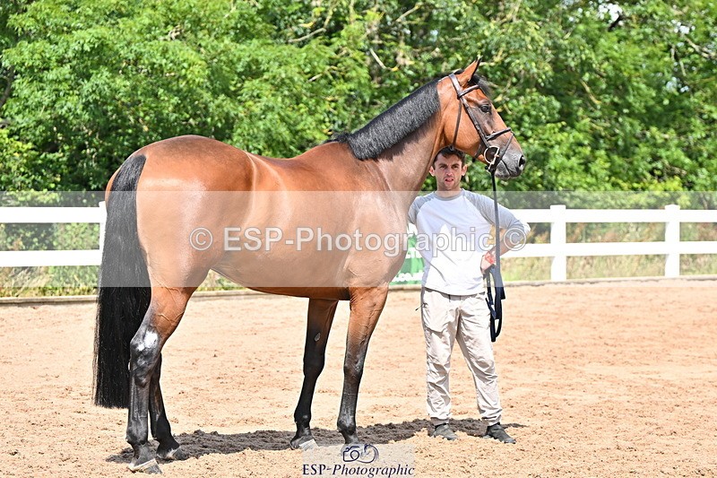 240718A-105243-01074 - Trot Up 12pm to 1pm