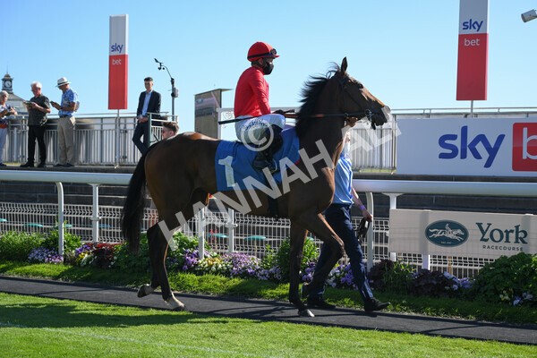 yr12062021r7-15 - Race 7 5.25pm Sky Bet Stakes
