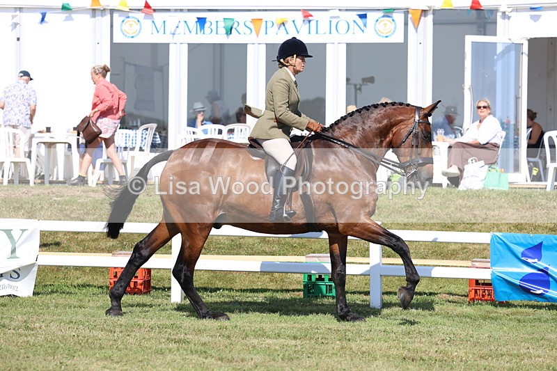 3E7A6400 - Class 4: Rising Star M/H Hunter