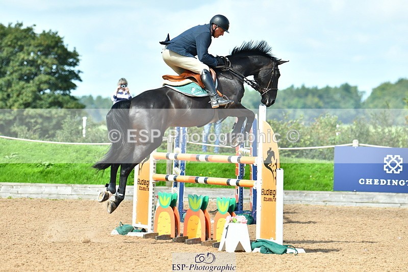 230811A-112920-03912 - Cls 20 Snr Fox