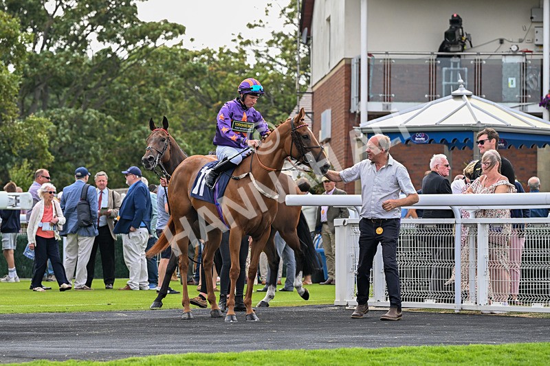 140726-Zivas Star-1252 - Race 5 16.23pm Connexin Gigabit Gallop Handicap