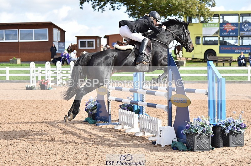 231015A-131254-08243 - Cls 25 95cm Amateur Q 2nd R