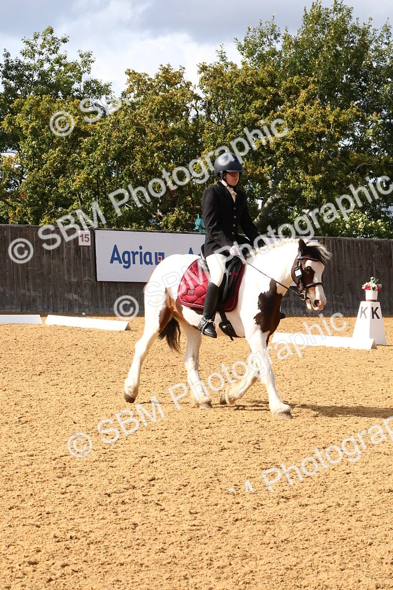 SBM_24474 - D5 - Small Tour Championshop Intro 2