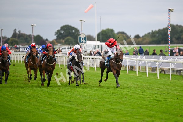 101025-Race 6-Dan Tucker-7057 - Race 6 Copper Knight Winning-Most Horse Handicap at York