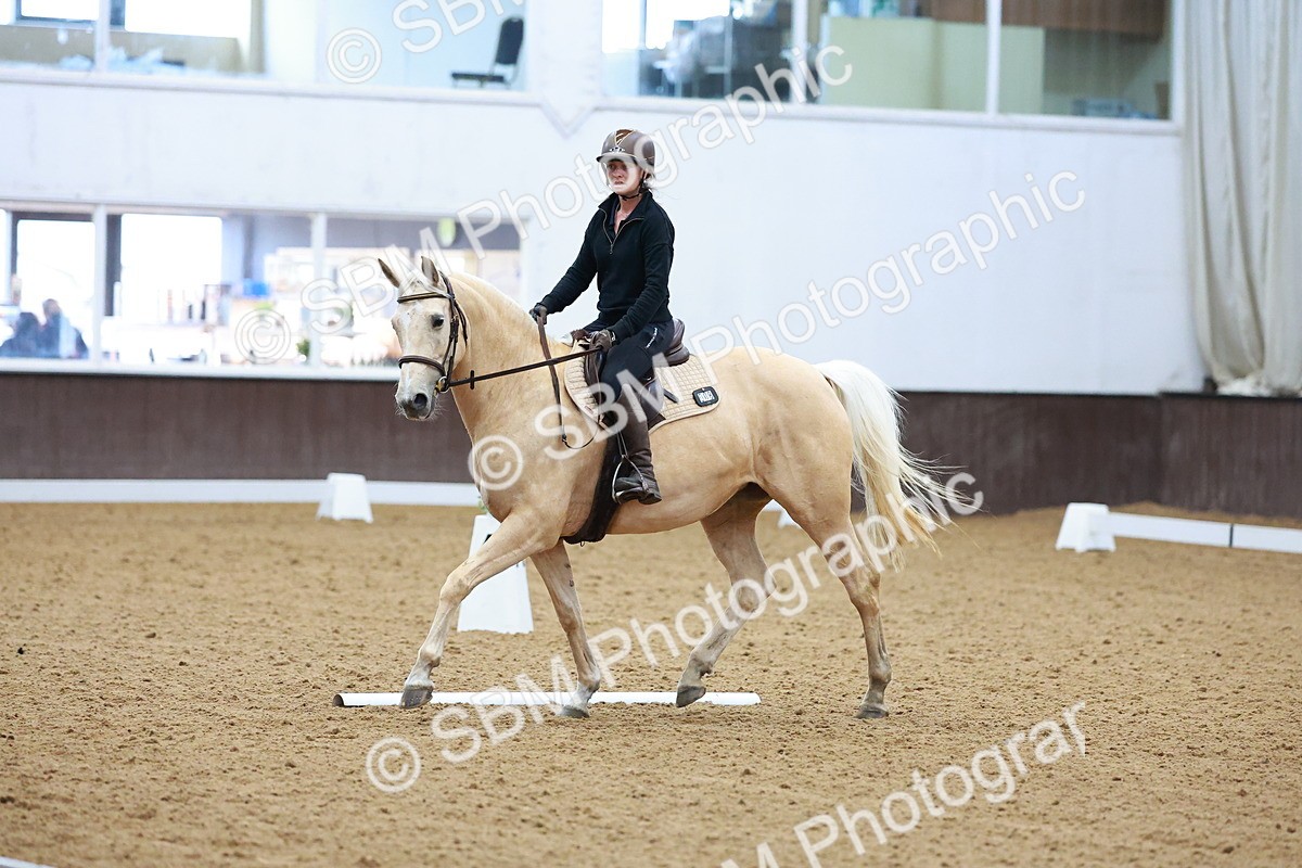 1I0A0620 - Class 3-6 - Prelim 1-Novice 2