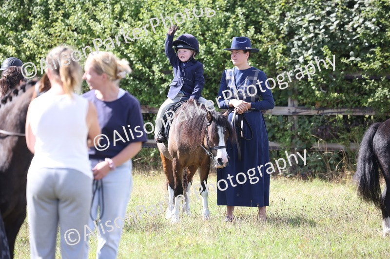 20260906-2814 - Class 25 - Absolute Beginners Pony