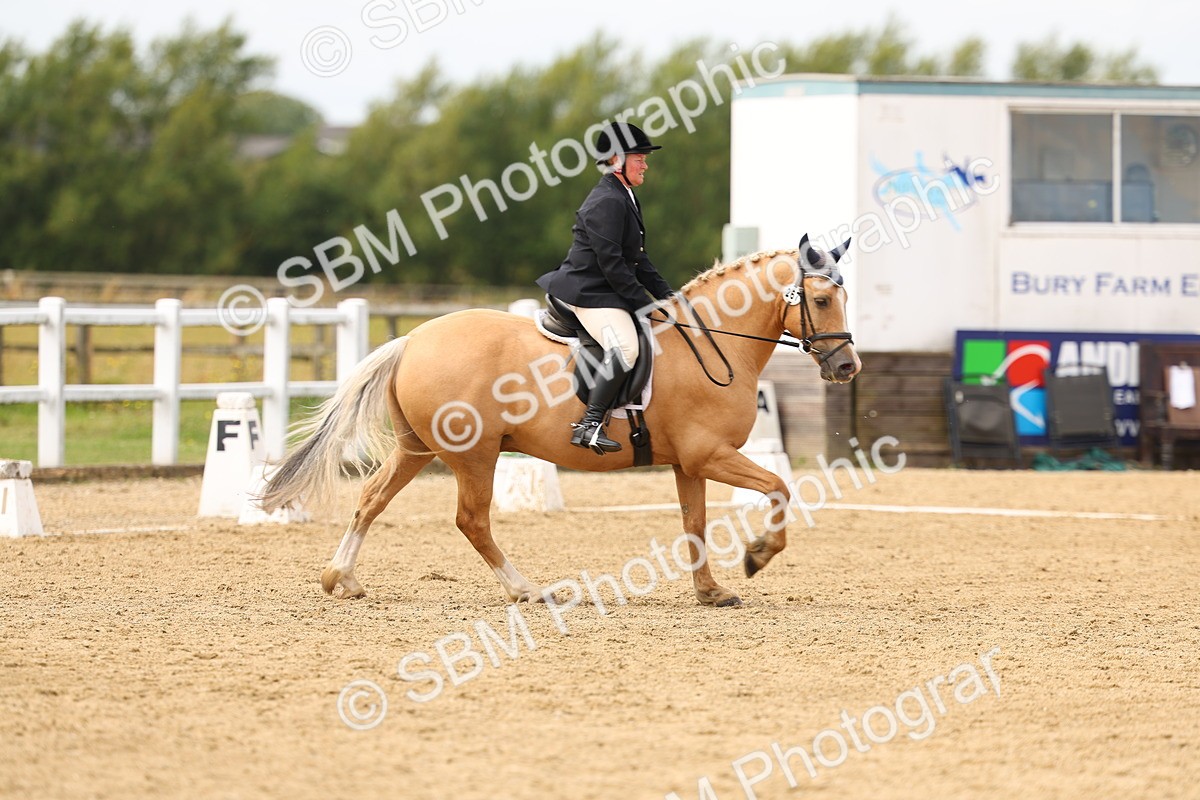 SBM_012228 - Class 2 - Prelim 19 11.39-12.56