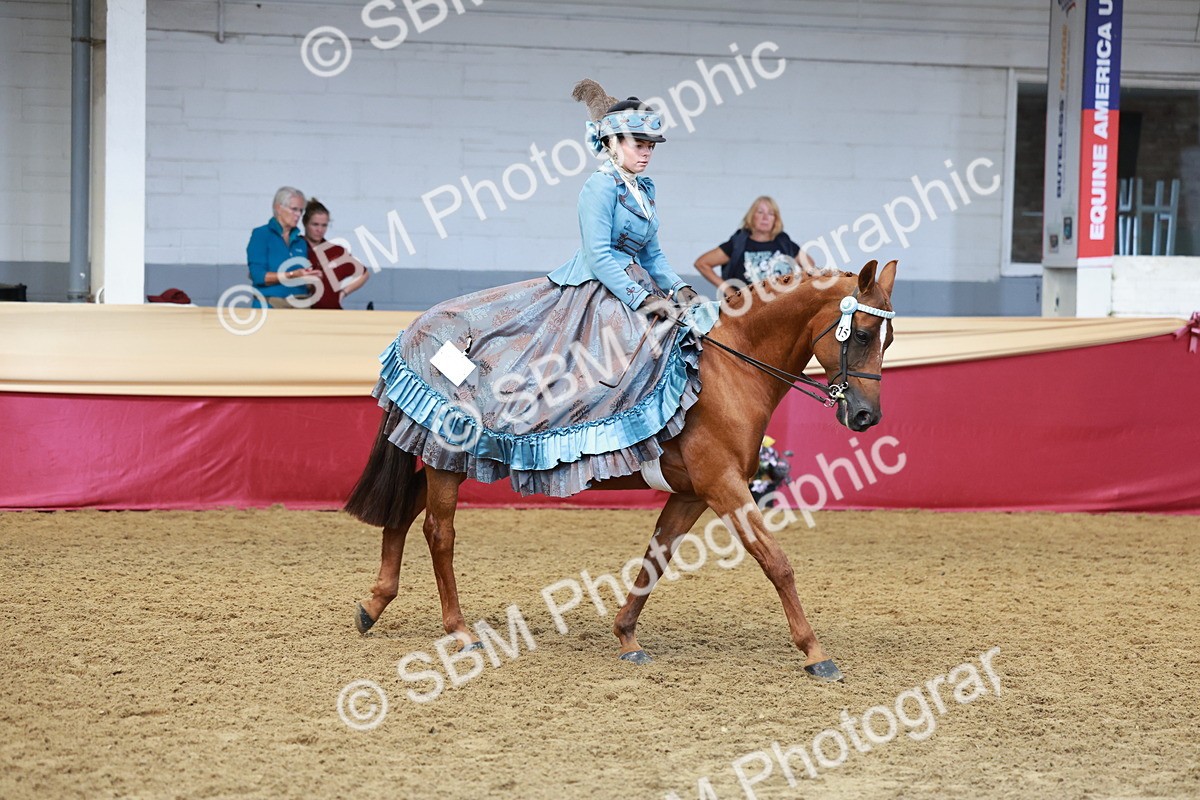 SBM_13761 - Class 106 - Ridden Costume -Astride Adult (15-19)