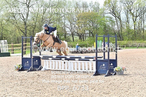 BPP_6733 - CLASS 2 FRI Club/ Unaffiliated 80cms Open