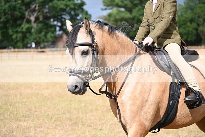 WJ6_7584 - Class 9 Tack and Turnout