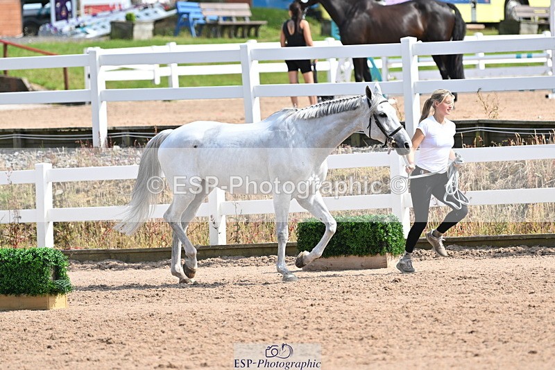 240717A-155954-03249 - Trot Up 3pm to 4pm