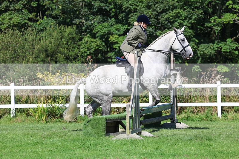 3E7A8248 - Class 4: Novice working Hunter