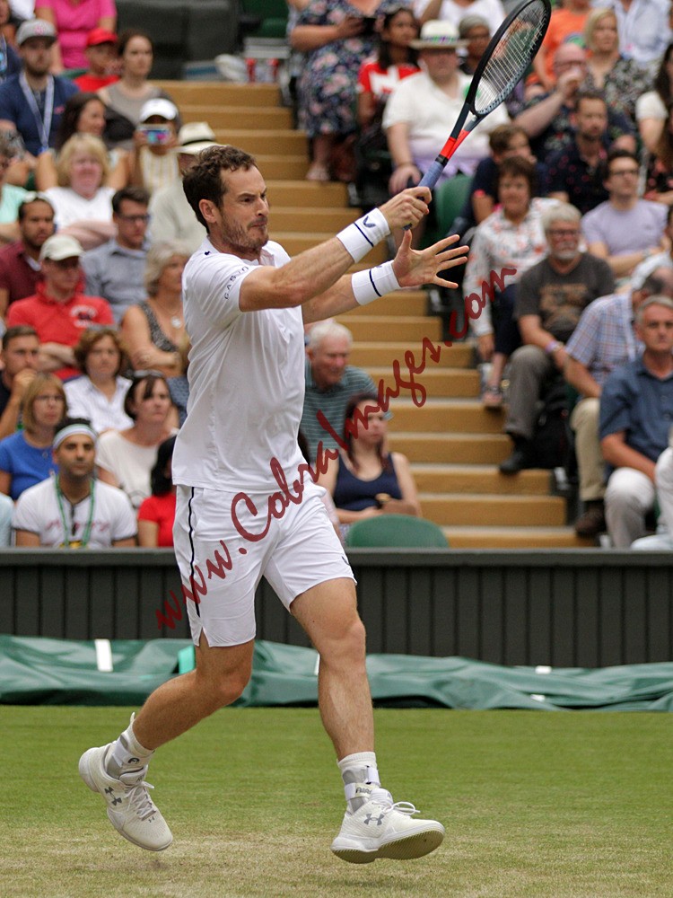 AF0I0141 - Wimbledon