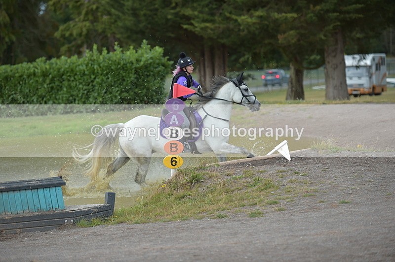 NGP_5385 - XC Time 13:36 to 13:47