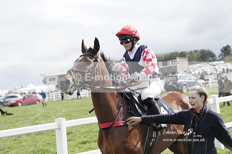 PtP 260323 0569 - New Forest Hounds Point-to-Point Larkhill 26/03/23
