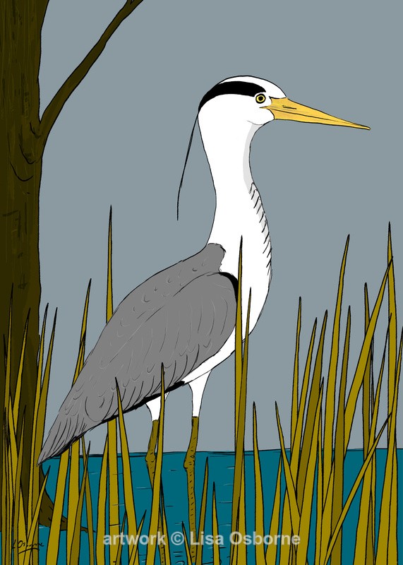 Heron - DIGITAL ARTWORK