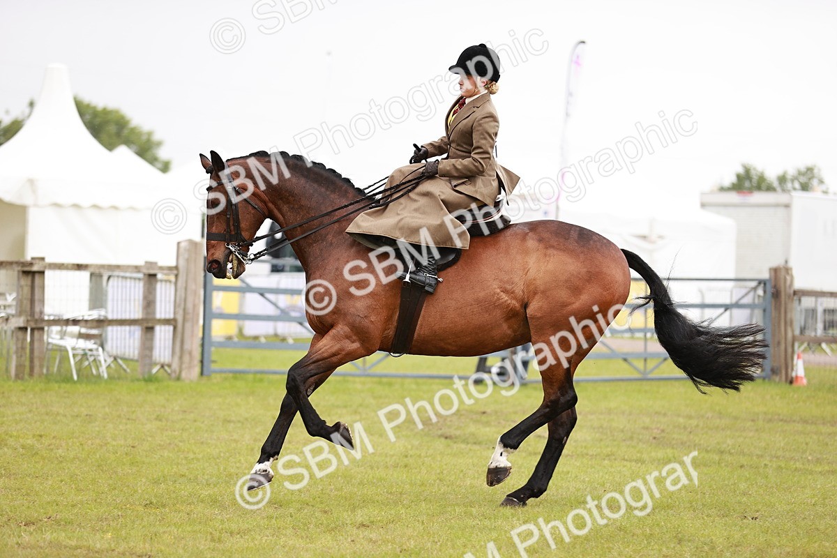 SBM_10995 - Class 81-84 - RIHS Ridden hunters Inc Ladies Hunter