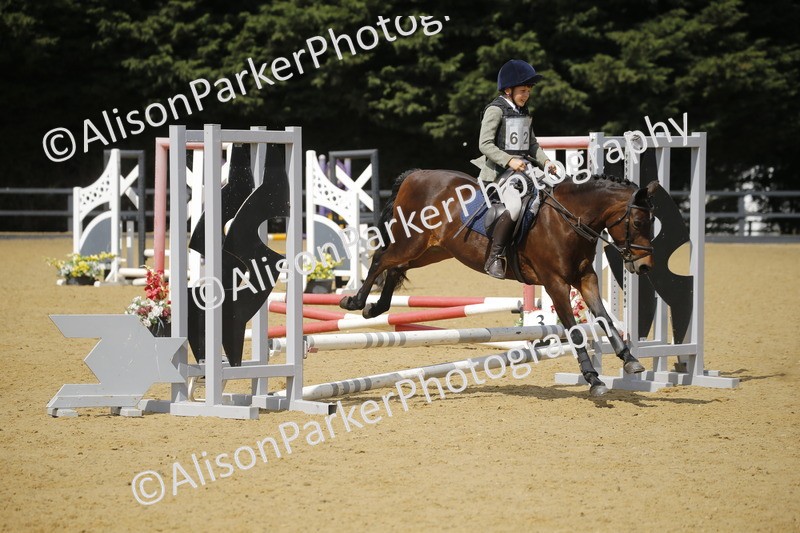 20250622-3861 - 50cm