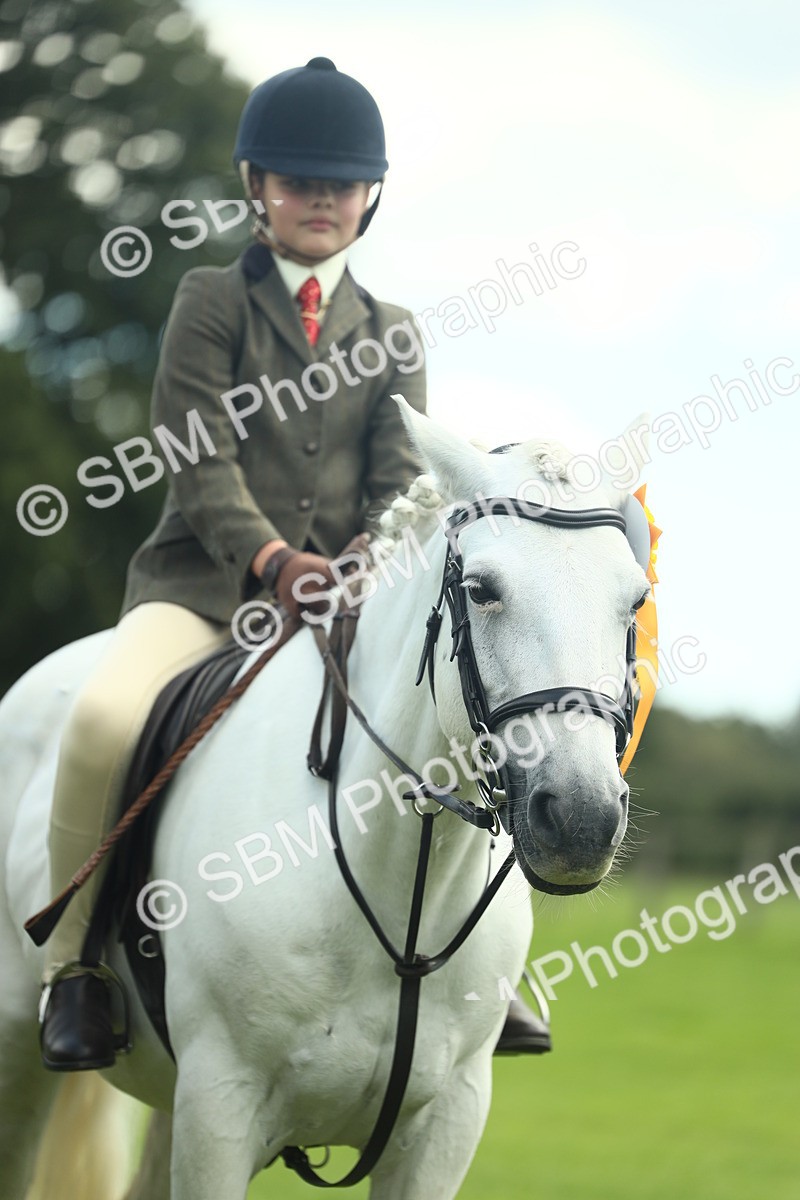 SBM_42244 - S29 - Novice & Newcomers Working Hunter Pony