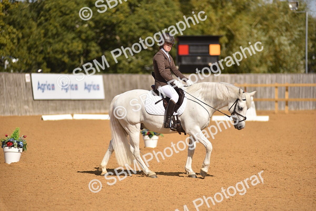 SBM_02997 - D4 - Small Tour Championship Intro 4