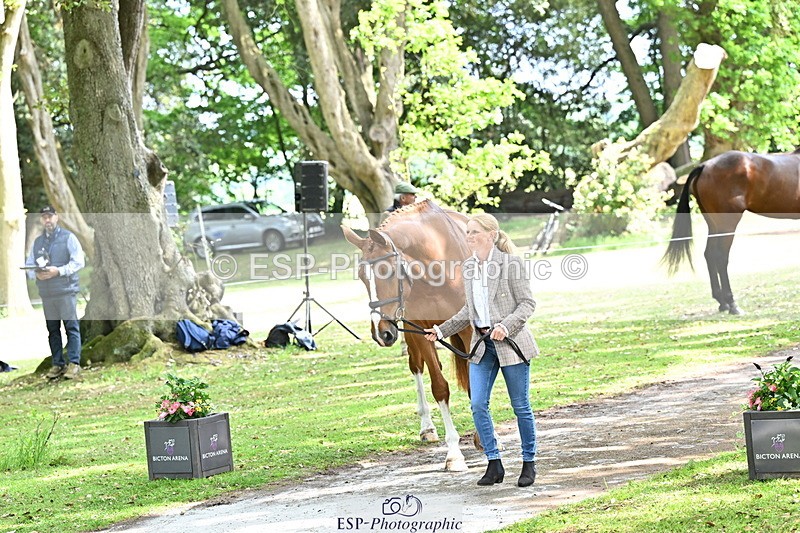 250521A-151845-00415 - B-307-Rosalind.Canter-SILVESTERS.FINESSE