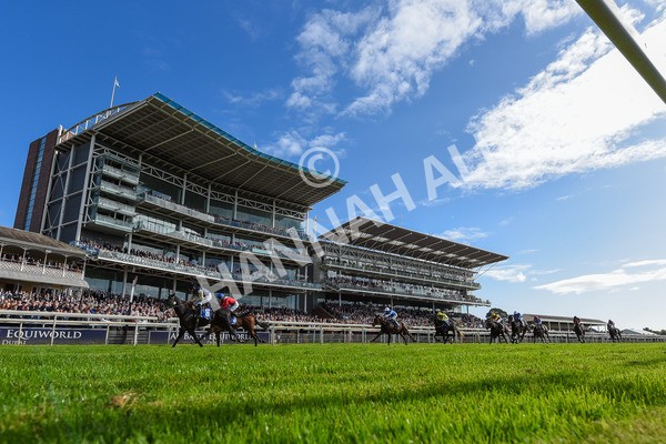 141023-Race 1-Purosangue-3854 - Race 1 1.15pm Coral Rockingham Stakes
