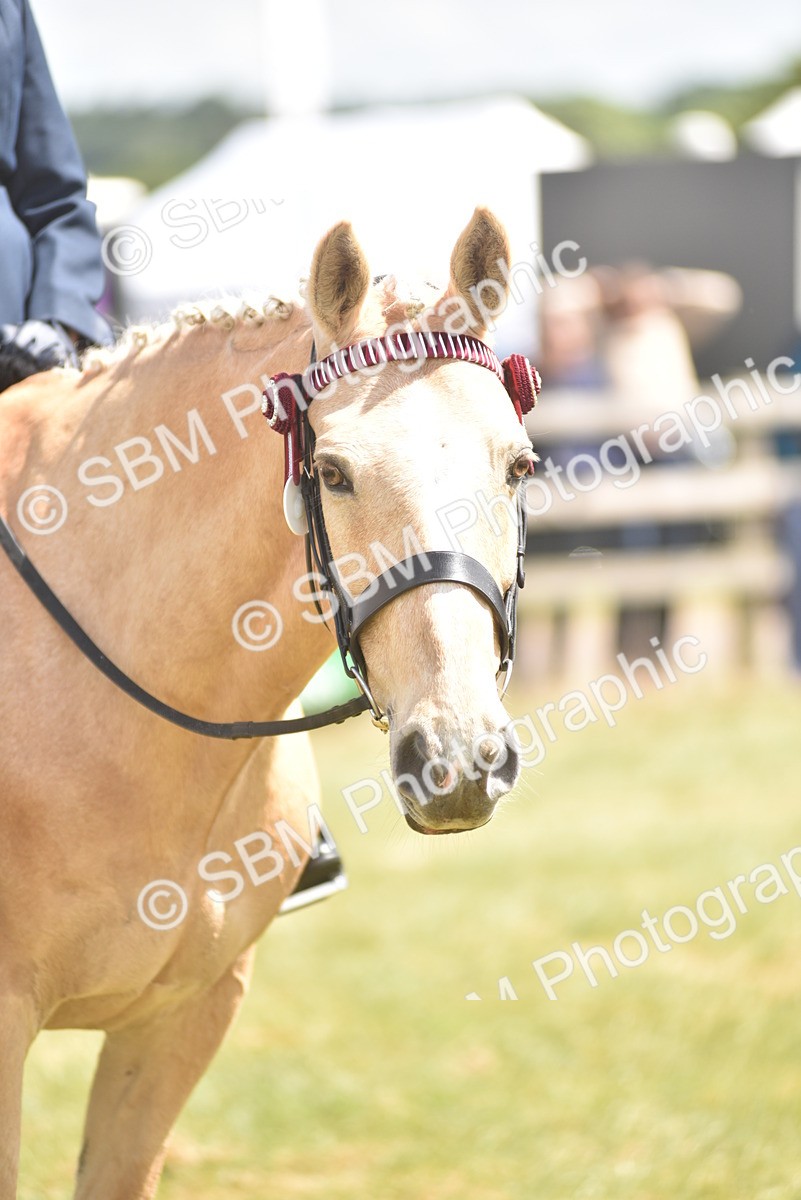 SBM_15854 - Class 115-116 - SSADL Home Produced Members Qualifier