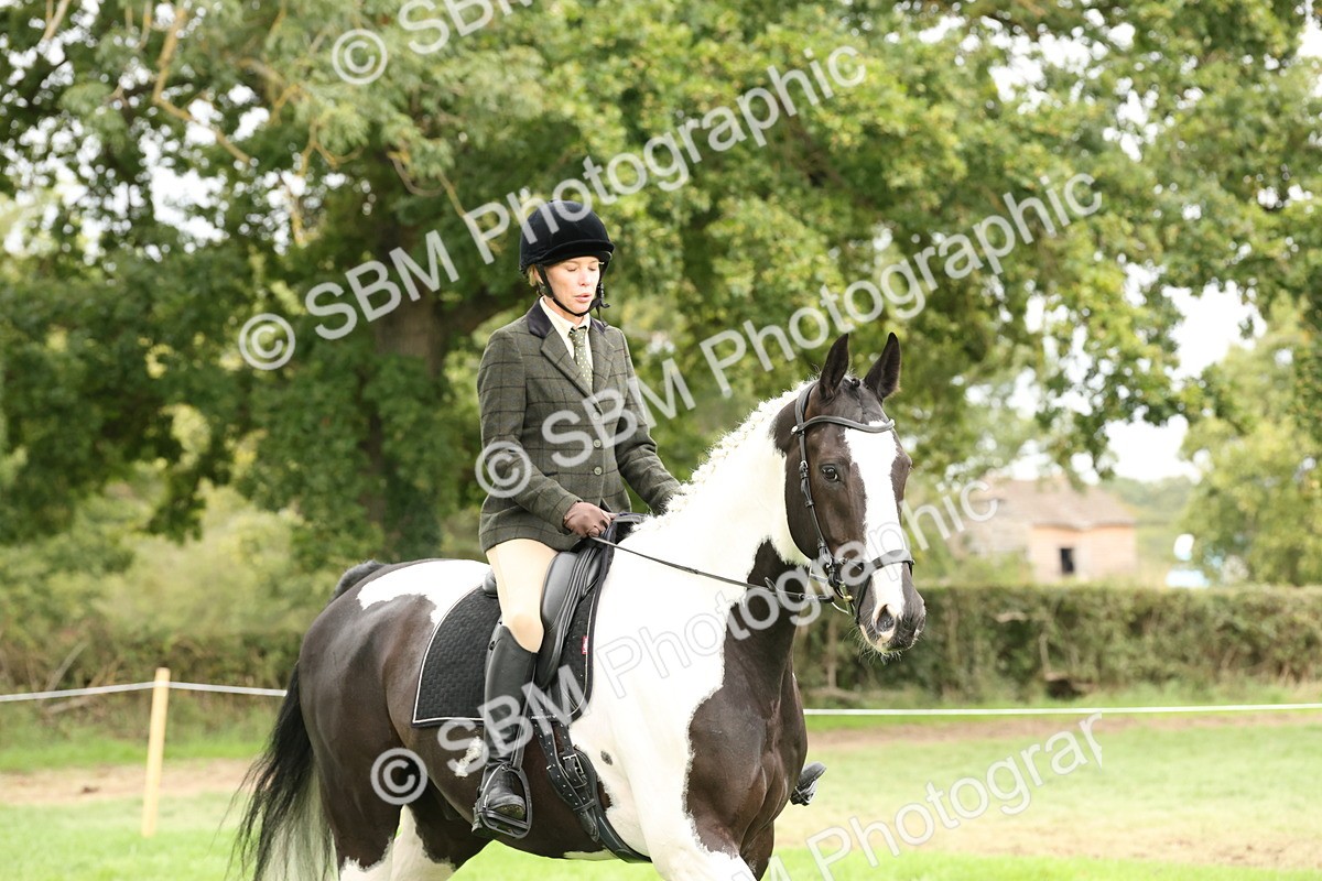 SBM_67195 - S67 - Piebald & Skewbald Horse Ridden