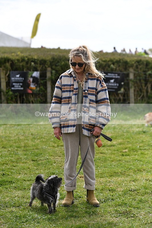 WJ5_9855 - Class 3 Most Handsome Dog