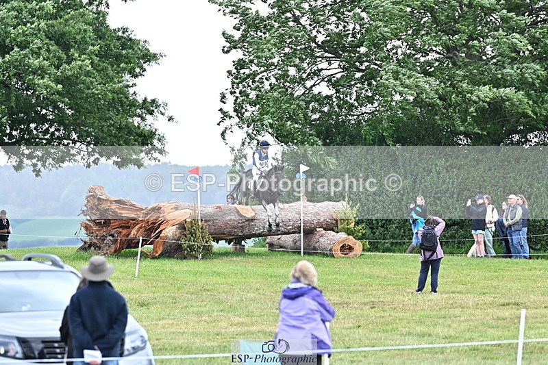 250525A-121549-15966 - D-409-Kirsty.Chabert-HERALDIKS.GIRL.OPPOSITION