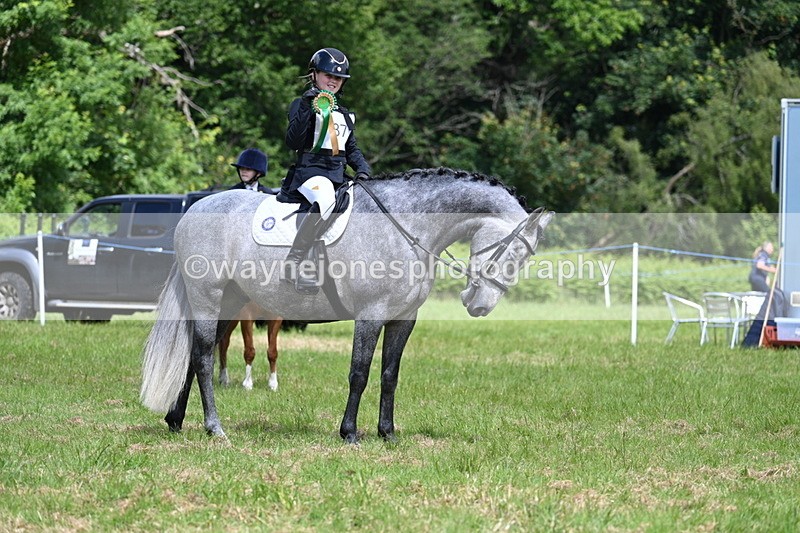 WJ7_1835 - Class 9 Pony Club Pony