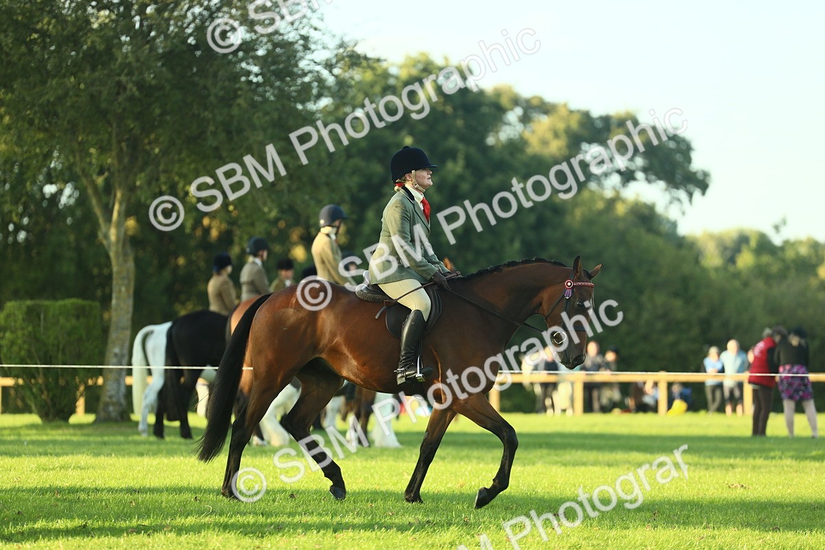 SBM_55516 - S14 - Riding Club Horse