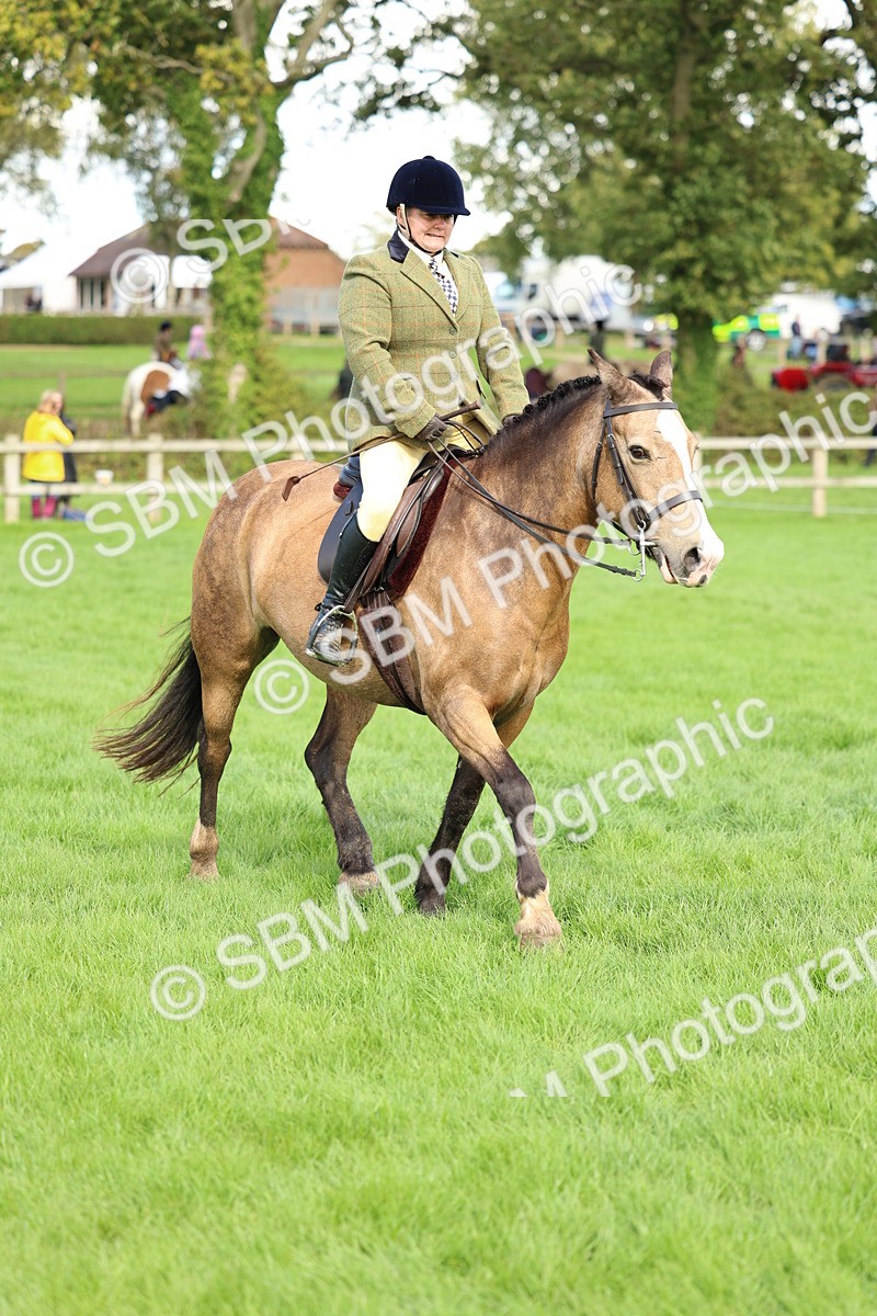 SBM_45539 - S33 - Working Hunter Pony