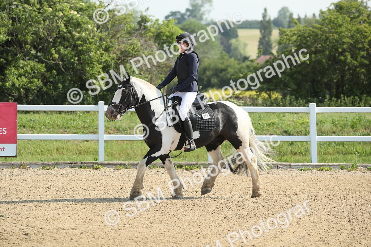 SBM_010698 - 50cm