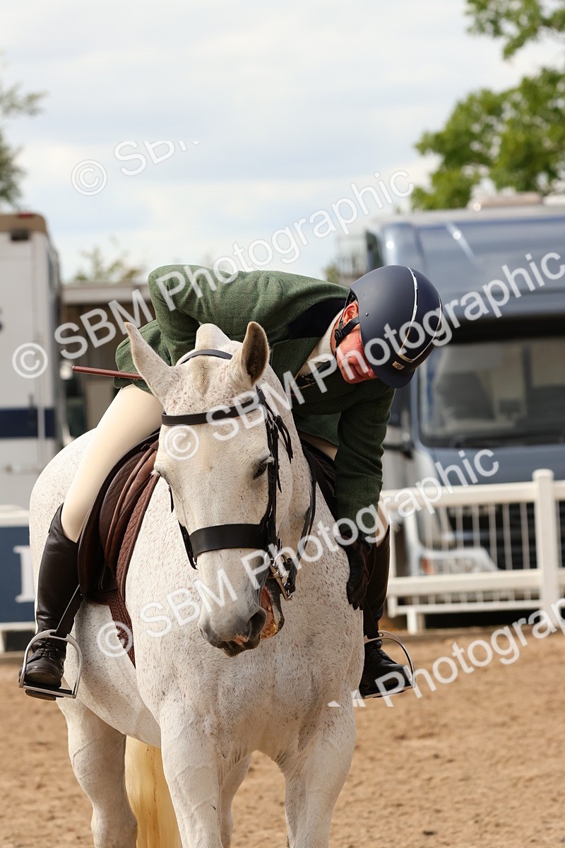 SBM_15568 - Class 214 - Ridden Show Cob