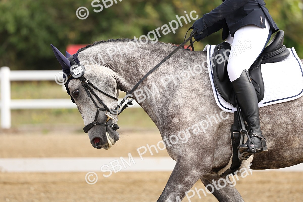 SBM_005520 - Class 6 - Novice 6 - 9.30-10.12