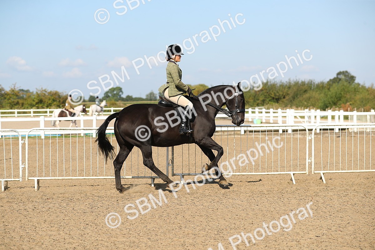 SBM_02226 - Class 43 Ridden Competition Horse/Pony