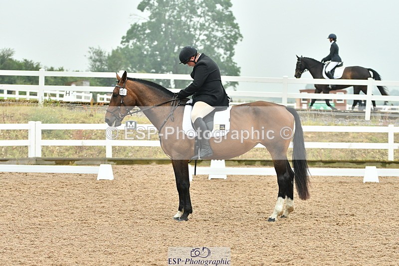 230708A-141743-02908 - Elementary 43