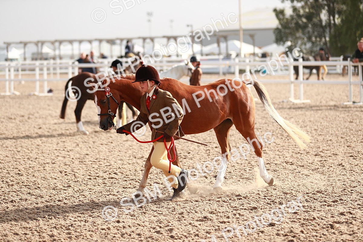 SBM_09878 - Class 203 Young Handler, 10 years and under