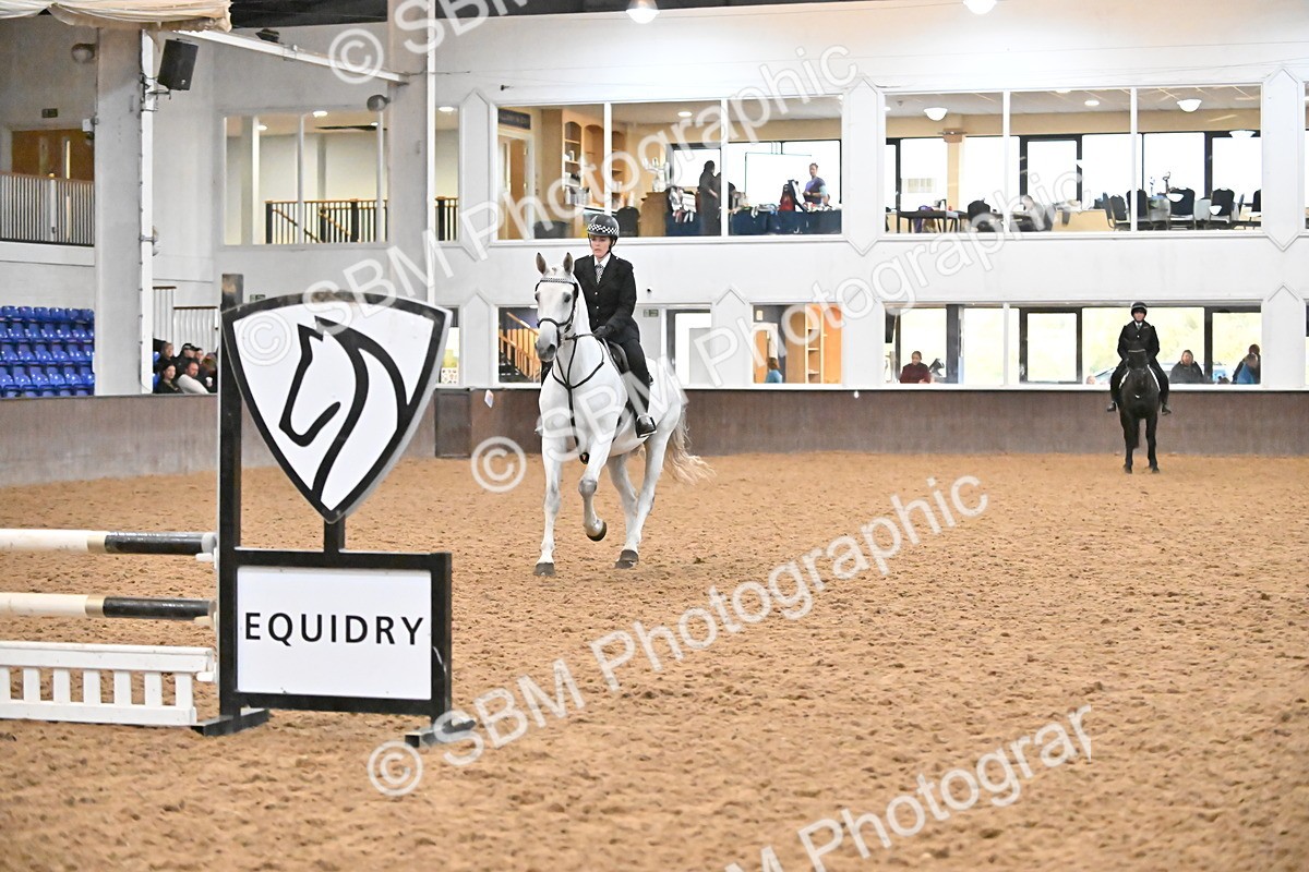 SBM_002989 - Class 37,38 - UKPSAF Performance Horse & Pony