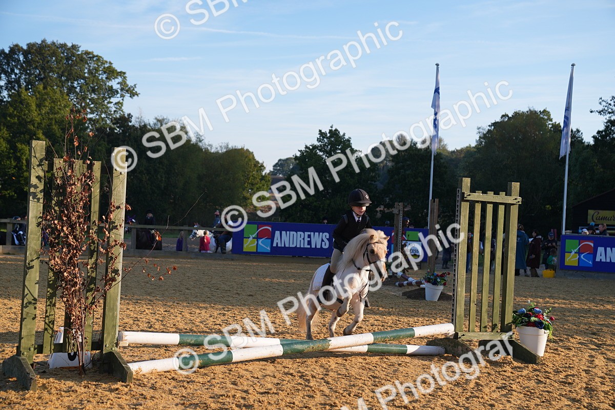 SBM_58905 - J63 - Minis Clear Round 30cm 40cm