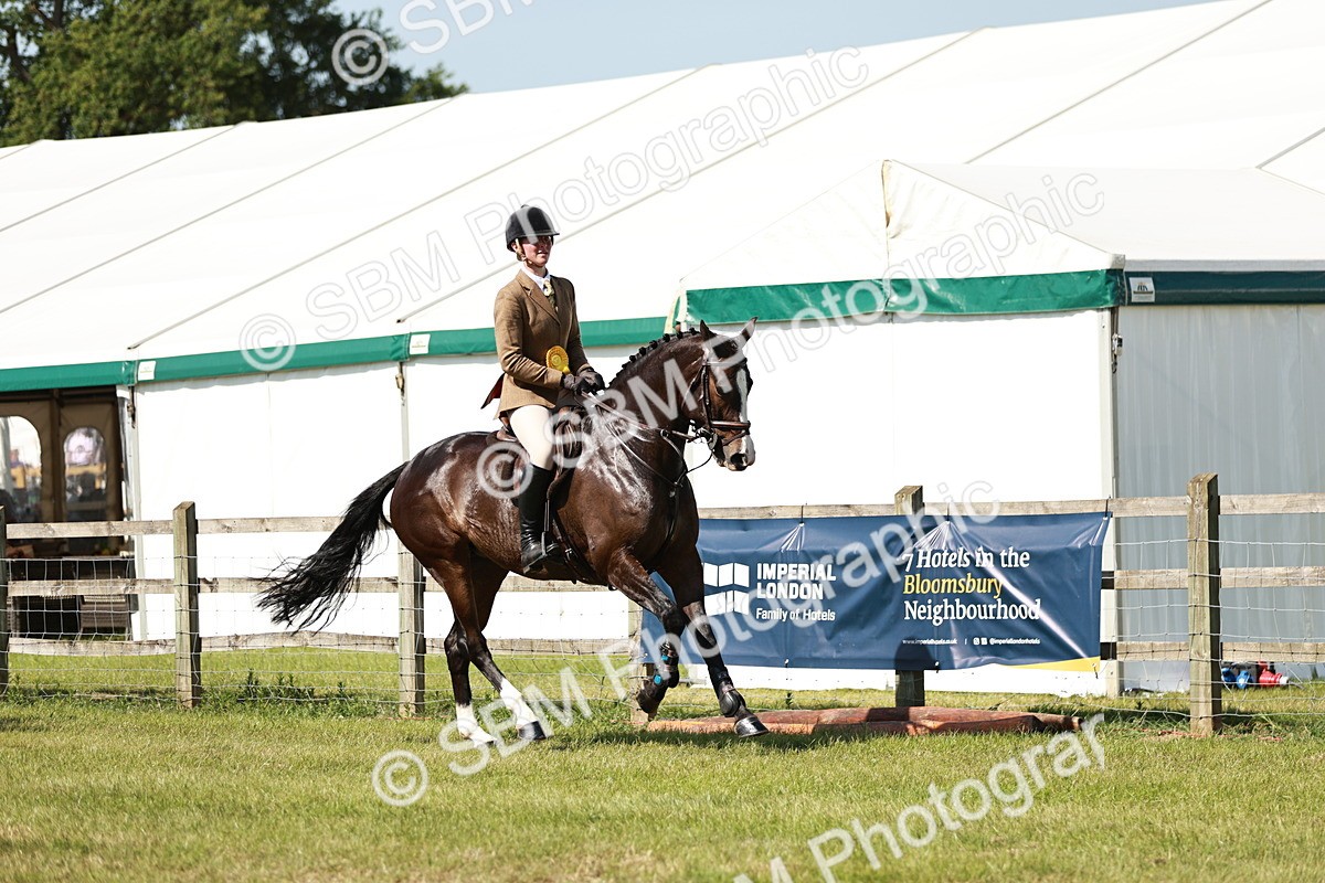 SBM_18493 - Class 112-113 - BSPS LIHS Working Sports Pony
